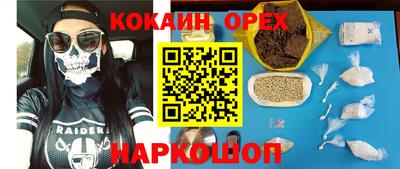 крисы Кунгур
