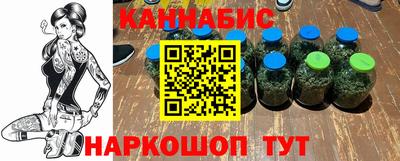 крисы Кунгур