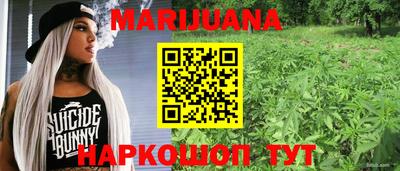 крисы Кунгур