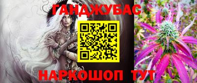 крисы Кунгур