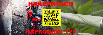 крисы Кунгур