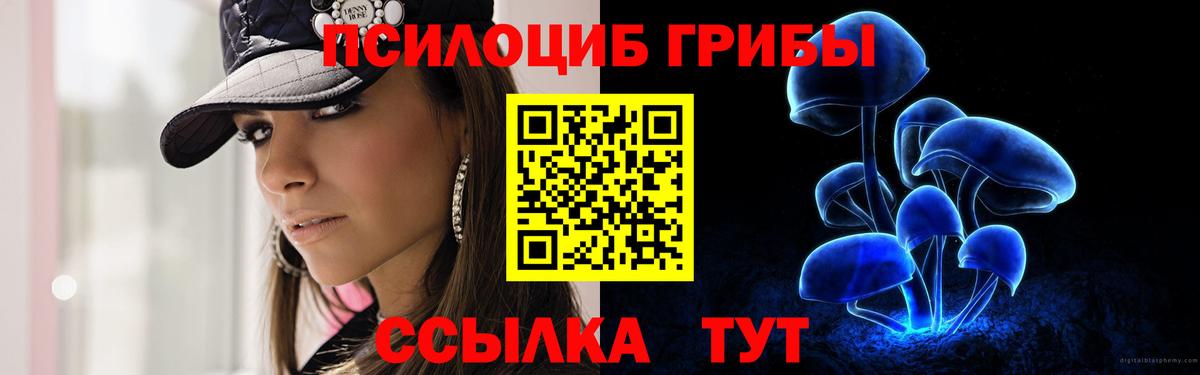 Чапаевск  Галлюциногенные грибы GOLDEN TEACHER  Псилоцибиновые грибы прущие грибы  Вход с VPN 